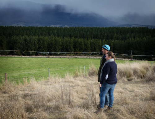 ActivAcre Program heralds a new era in Tasmanian agroforestry