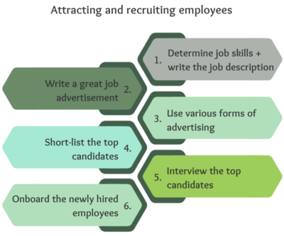 List of steps for attracting and recruiting employees